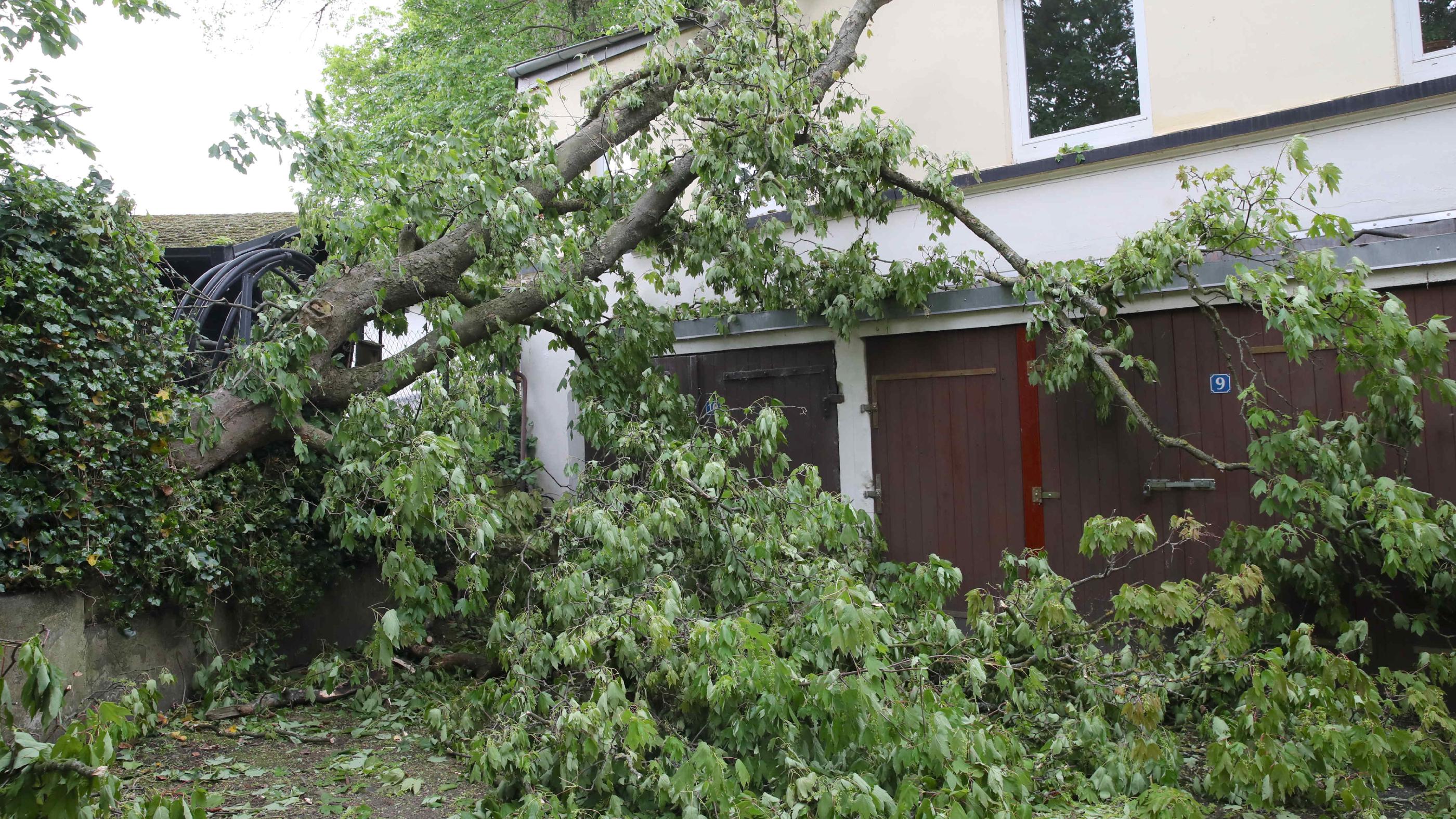 Tonnenschwerer Ast auf Gebäude gefallen