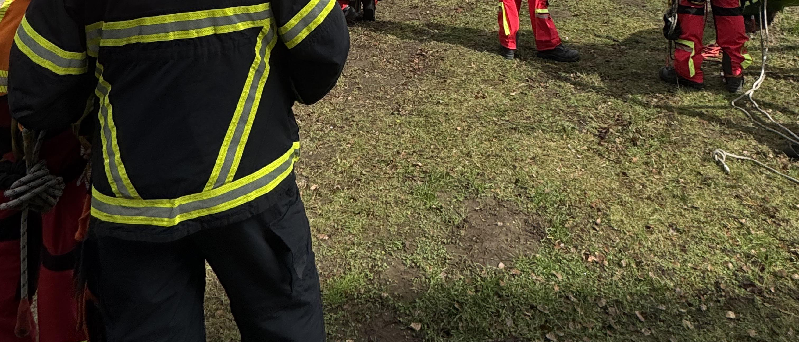 Baum auf Dach mit 23-SEGH entfernt