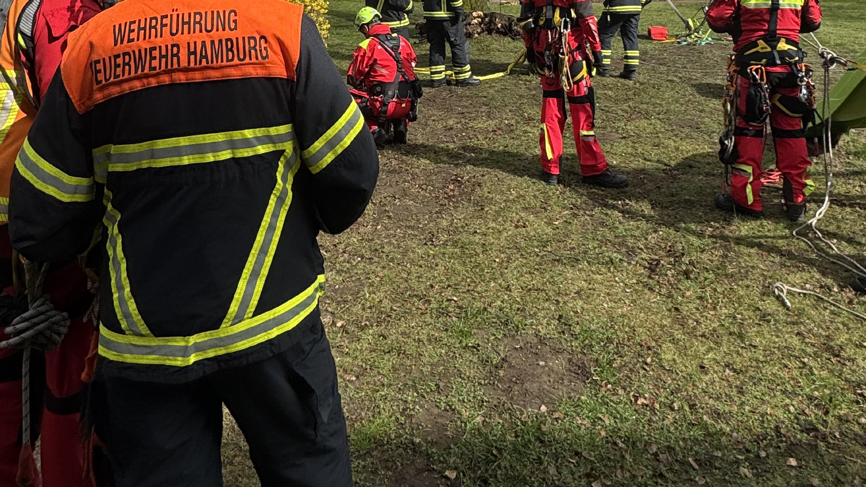 Baum auf Dach mit 23-SEGH entfernt