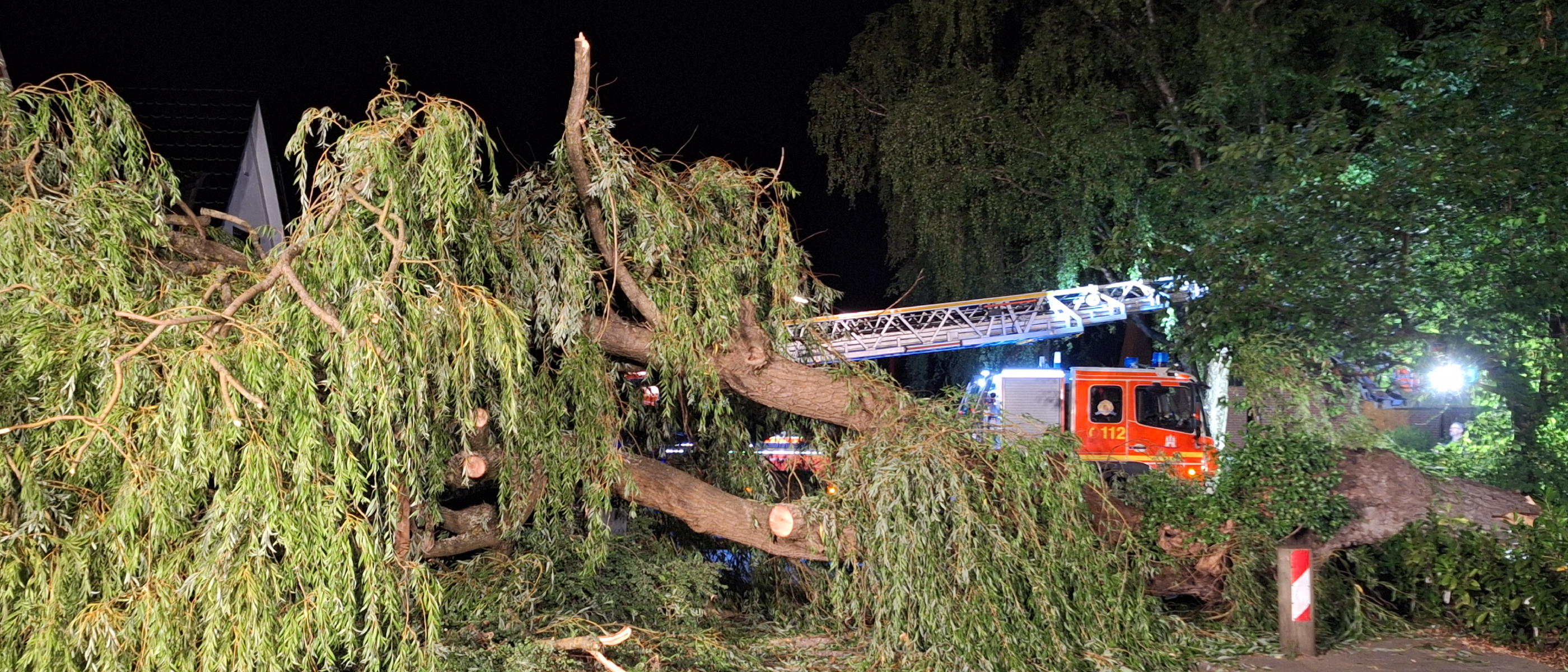 Dachstuhlbrand einer Villa und massive Weide umgestürzt