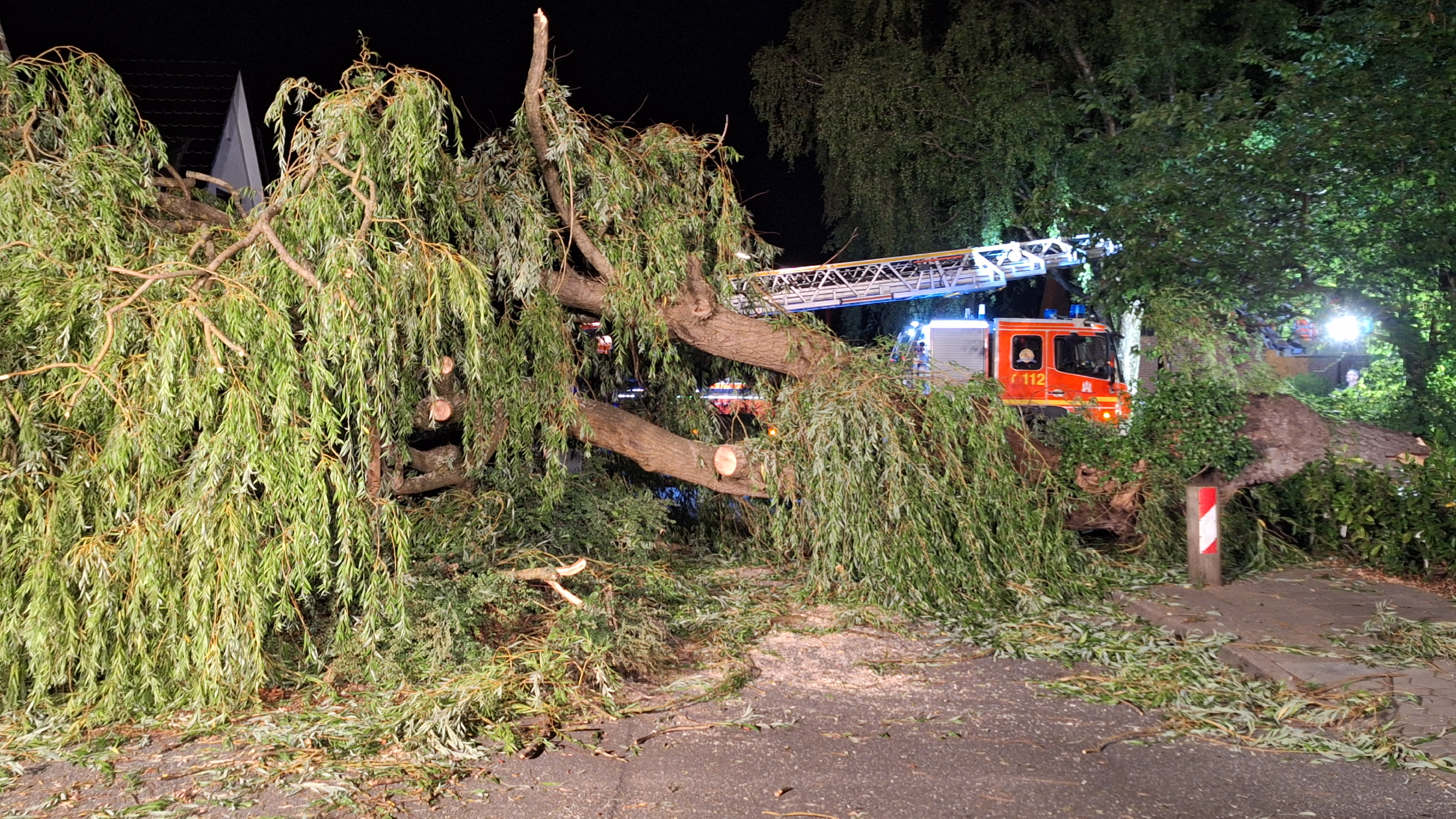 Dachstuhlbrand einer Villa und massive Weide umgestürzt
