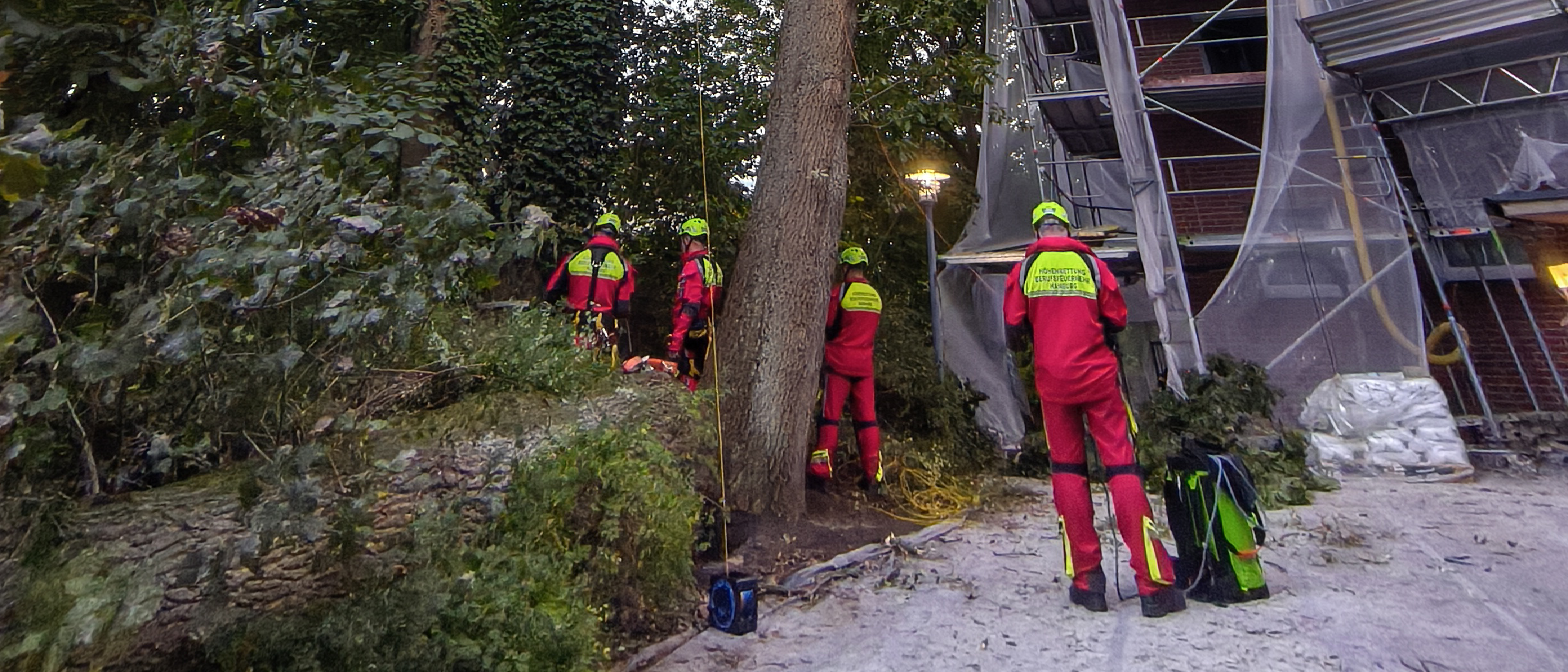 Massiver Baum auf Baugerüst gestürzt