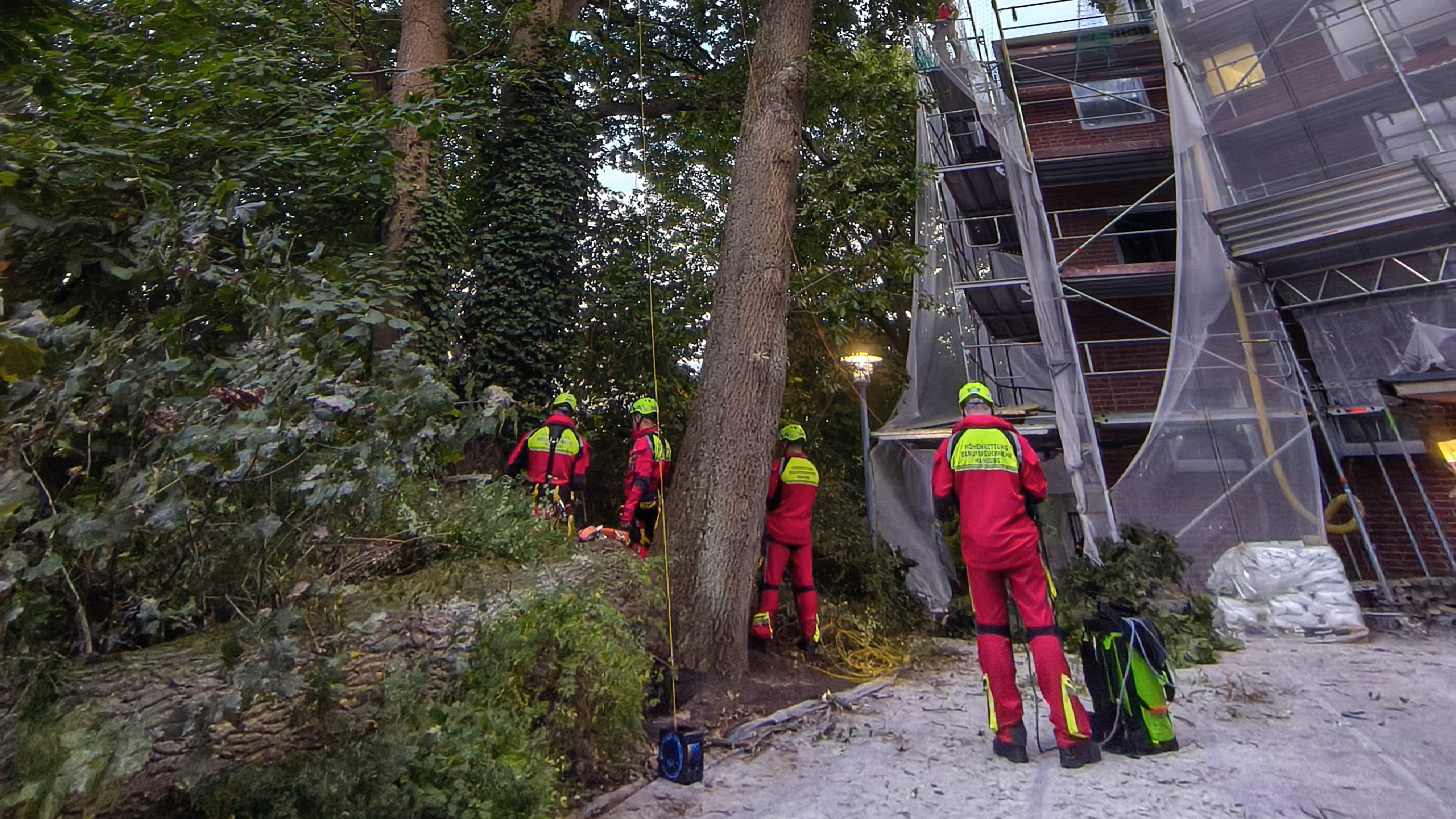Massiver Baum auf Baugerüst gestürzt