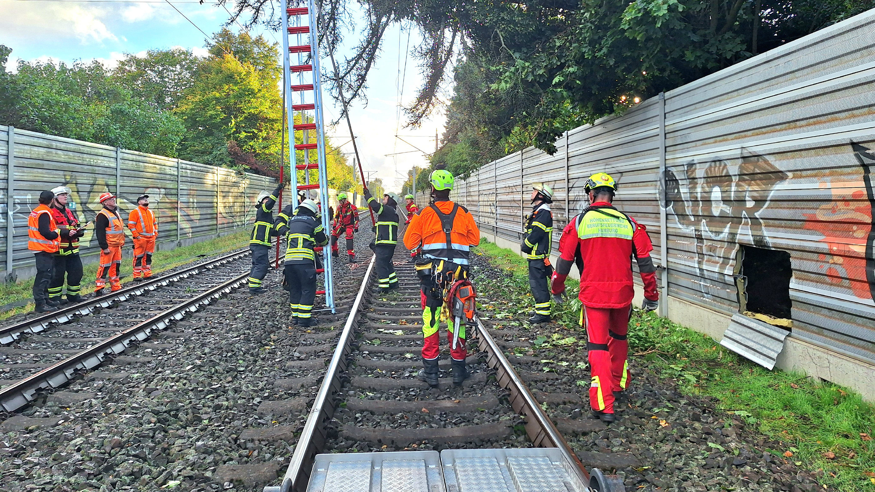 Umgestürzter Baum in Oberleitungen der Fernbahn